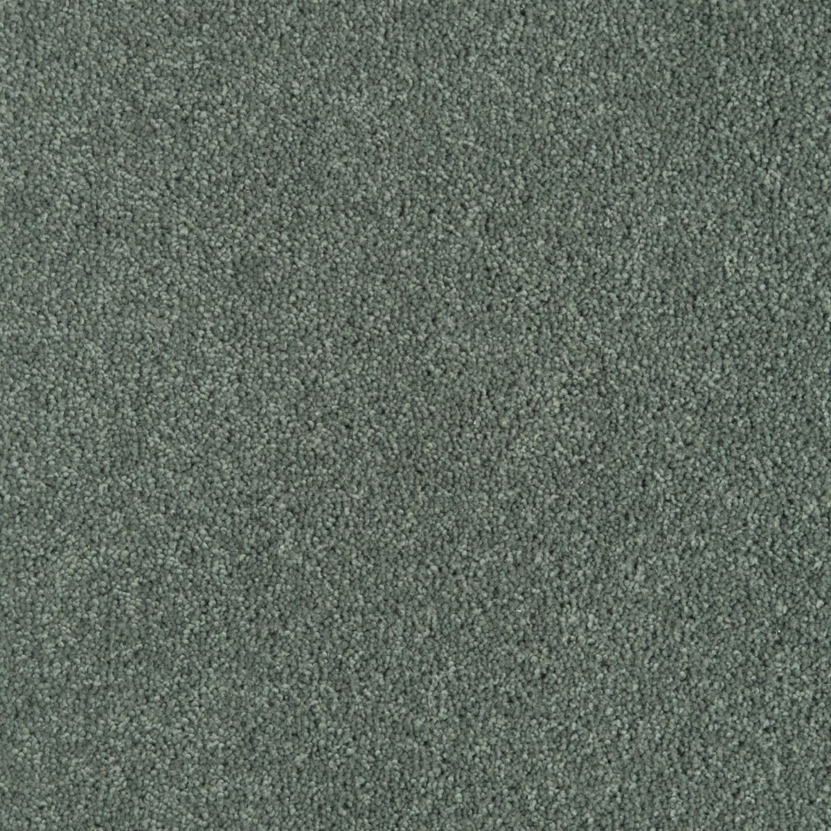 Penthouse Carpets Wentworth Ashbury 50oz