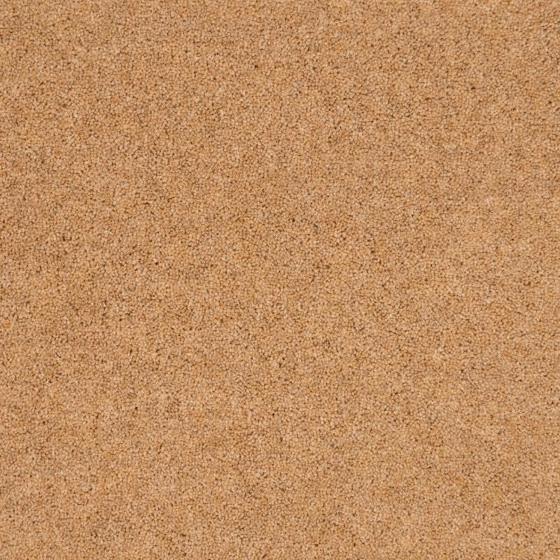 Penthouse Carpets Vermont Austin 40oz
