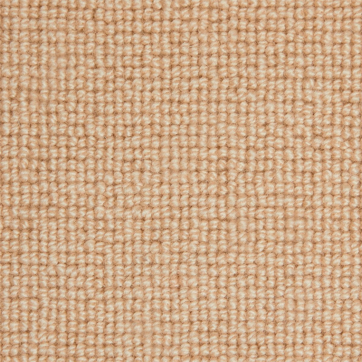 Westex Carpet Barrington Loop Corn