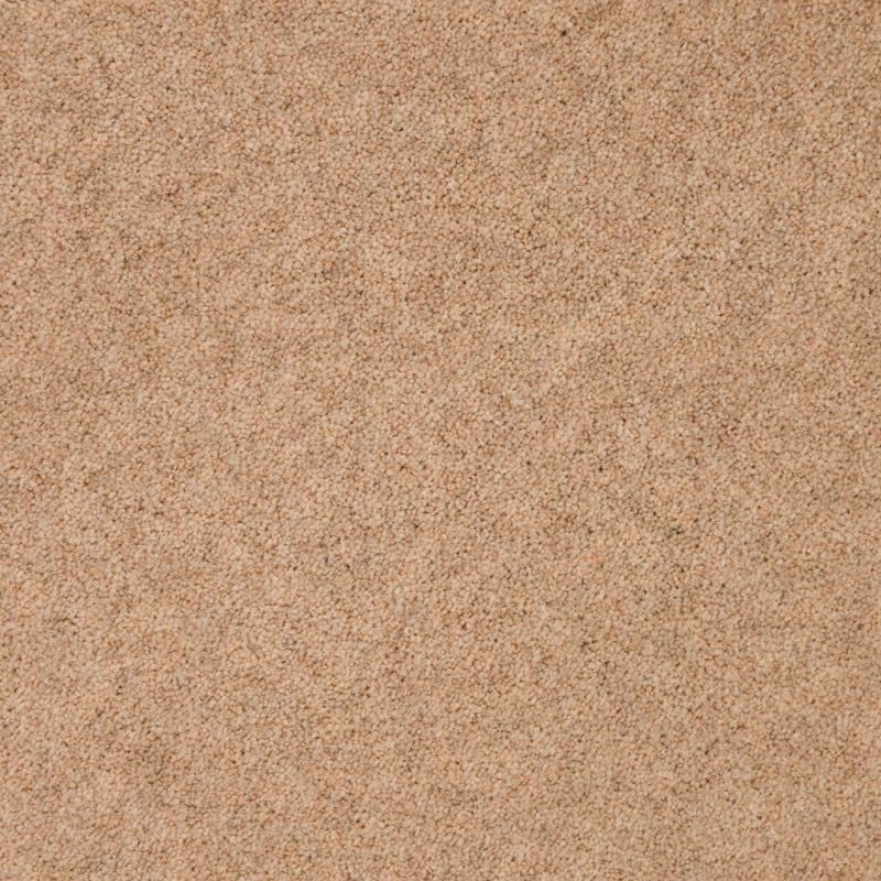 Penthouse Carpets Cumbrian Barrow 40oz