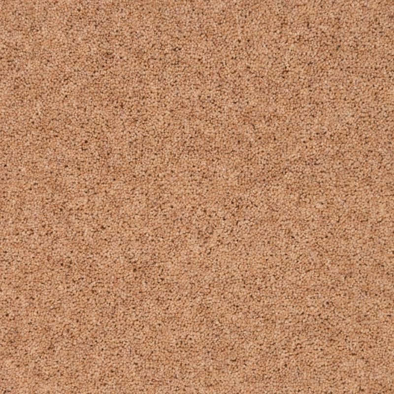 Penthouse Carpets Shoreline Beach 50oz