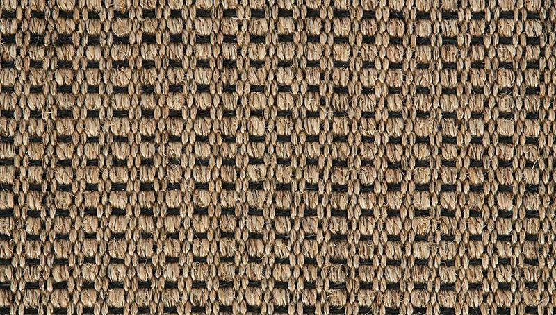 Crucial Trading Panama New Champagne Black E221