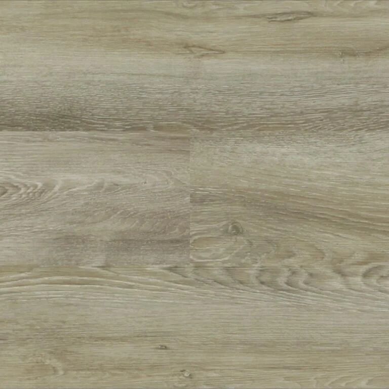 Harbor Oak