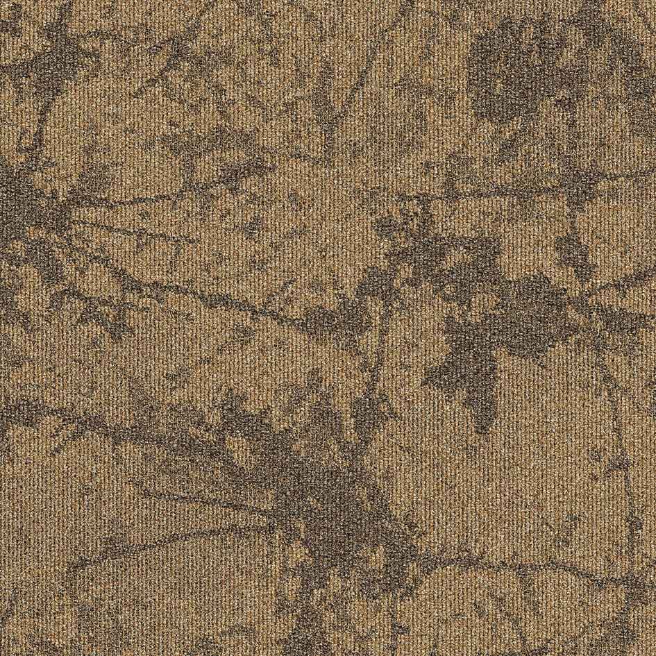 Terrain 36108 