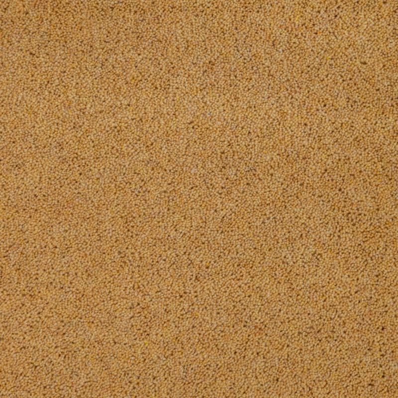 Penthouse Carpets Pentwist Colours Buttercup 50oz