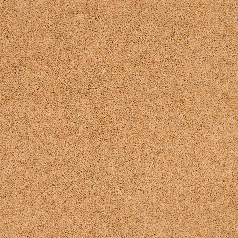Penthouse Carpets Pentwist Naturals Canvas 50oz