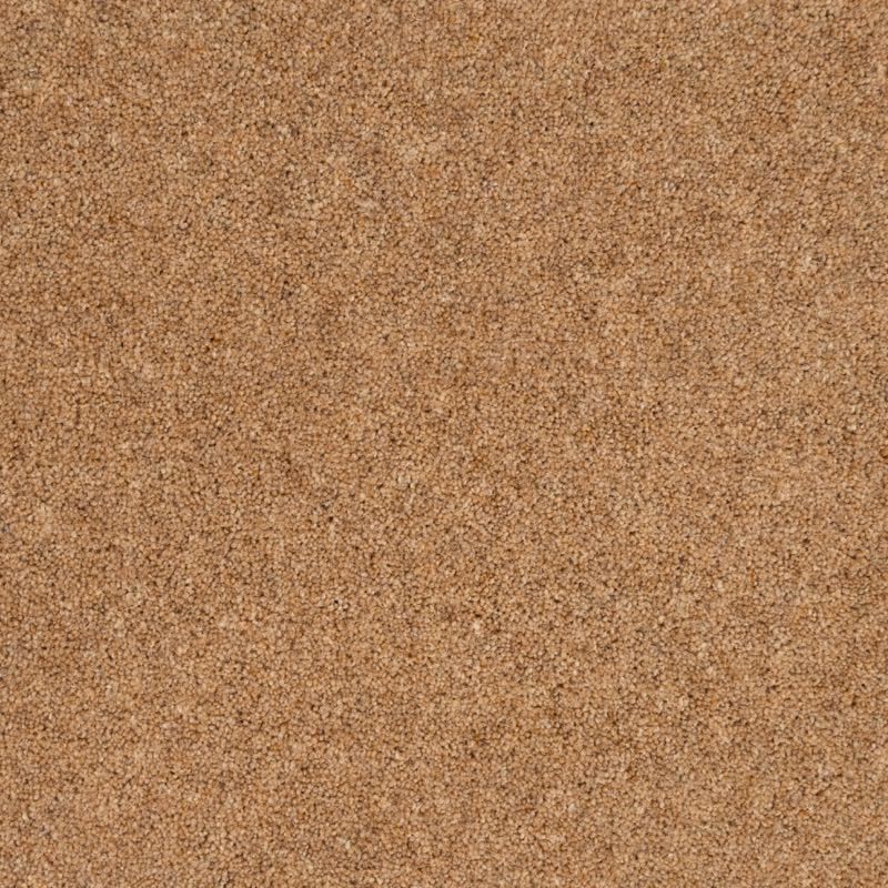 Penthouse Carpets Vermont Carson 40oz