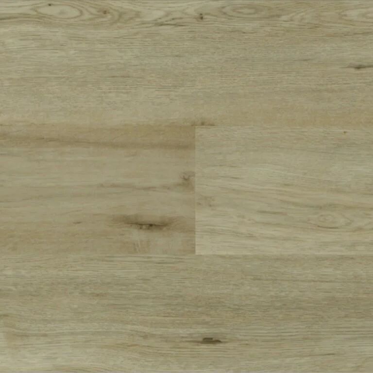 Harbor Oak