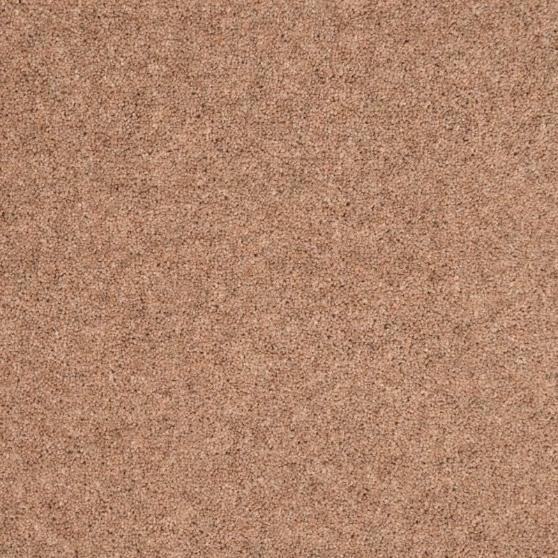 Penthouse Carpets  Shoreline Castaway 50oz