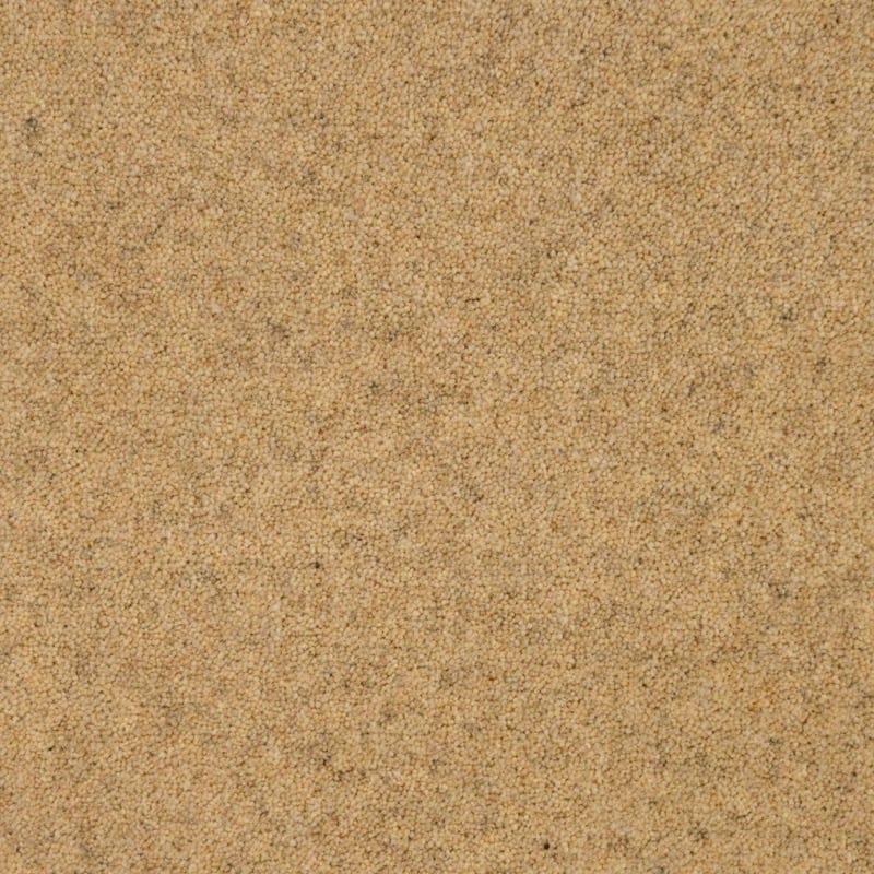 Penthouse Carpets Springtime Cheviot 40oz