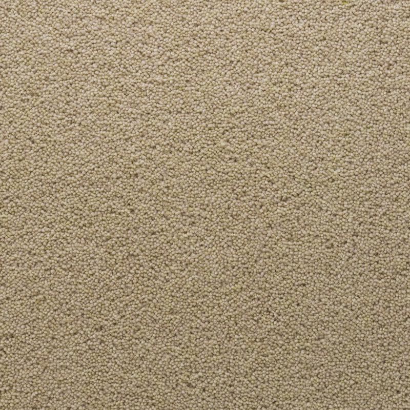 Penthouse Carpets Stateside Chicago 40oz