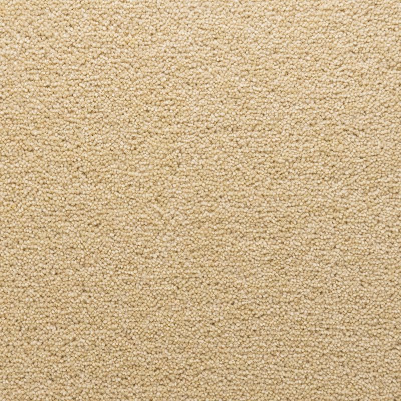 Penthouse Carpets Stateside Cloisters 40oz