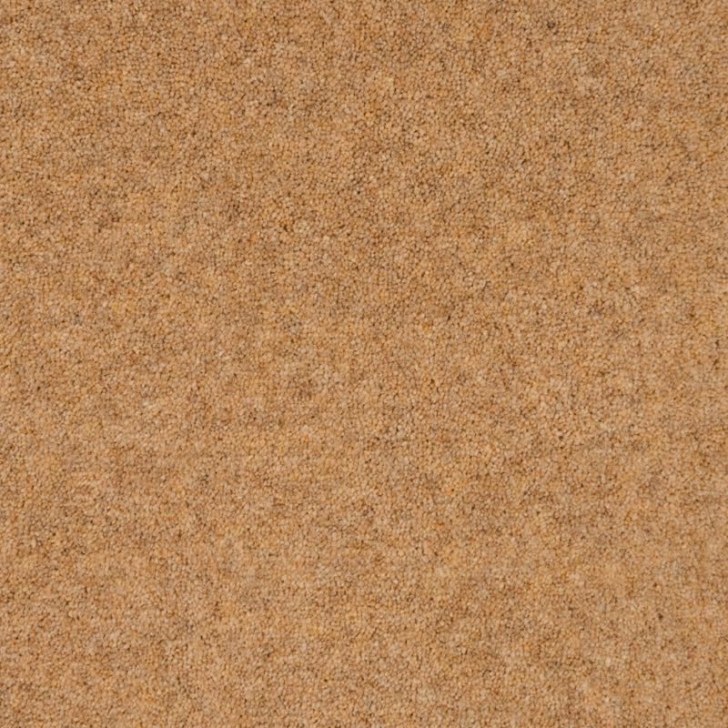 Penthouse Carpets Shoreline Cockleshell 50oz