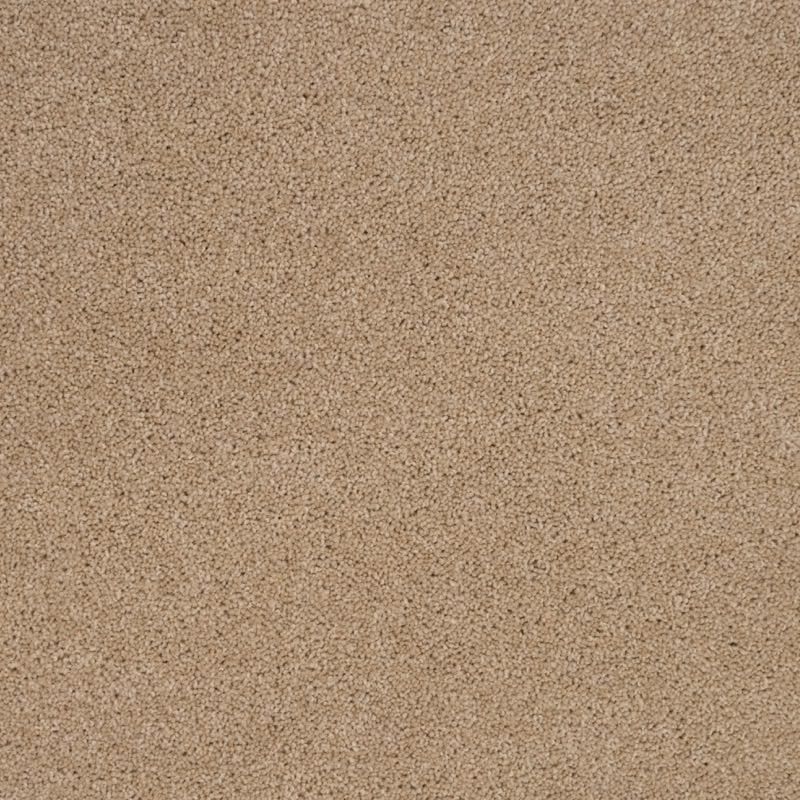 Penthouse Carpets Cumbrian Barrow 40oz