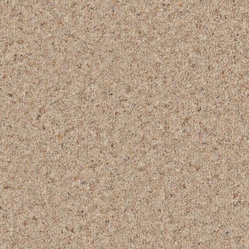 Cormar Carpet Co Natural Berber Twist Elite Seed