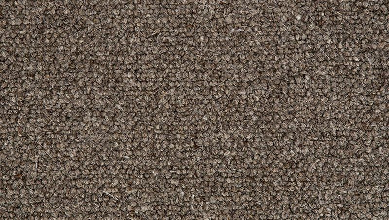 Crucial Trading Jasmine Grey Orchid WJ204