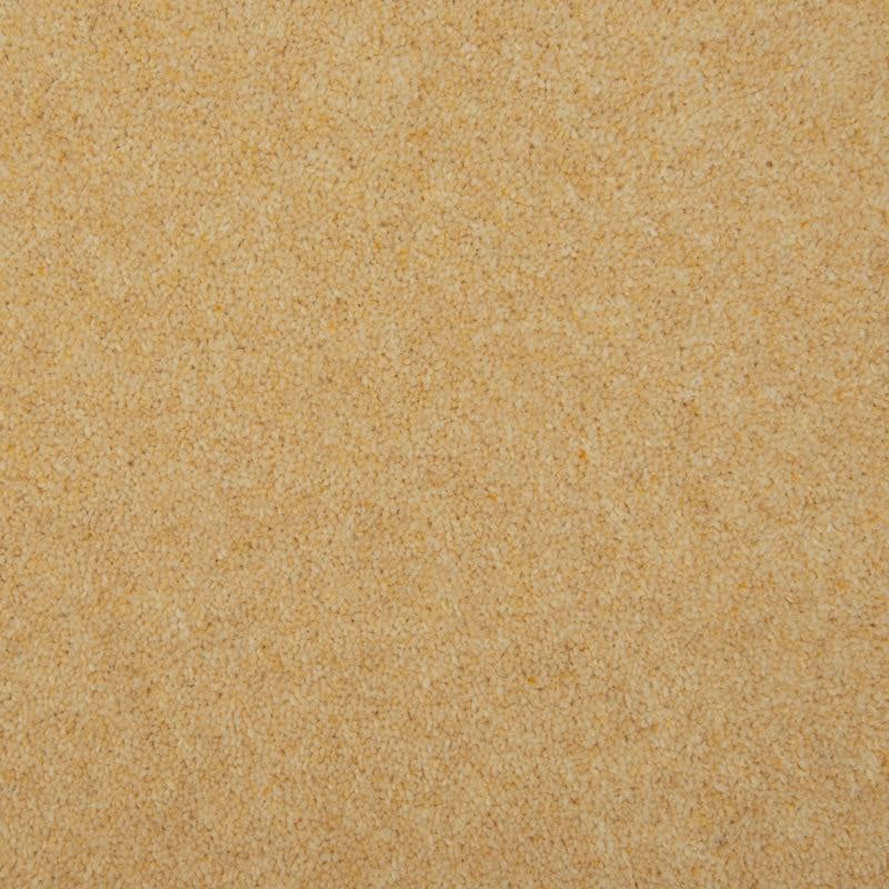 Penthouse Carpets Esprit Nouveau Curlew 60oz