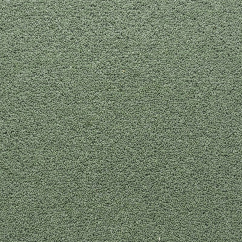 Penthouse Carpets Stateside Dakota 40oz