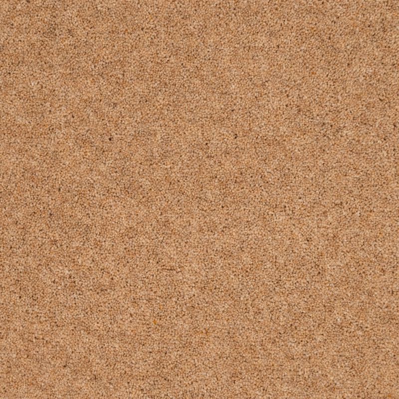 Penthouse Carpets Vermont Dallas 40oz