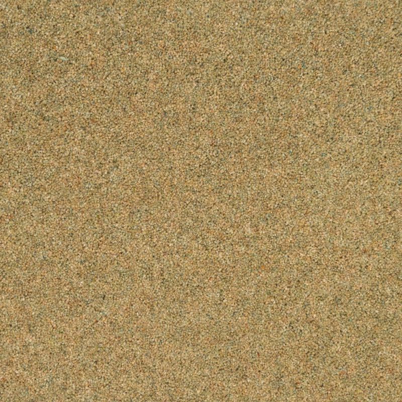 Penthouse Carpets Vermont Denver 50oz