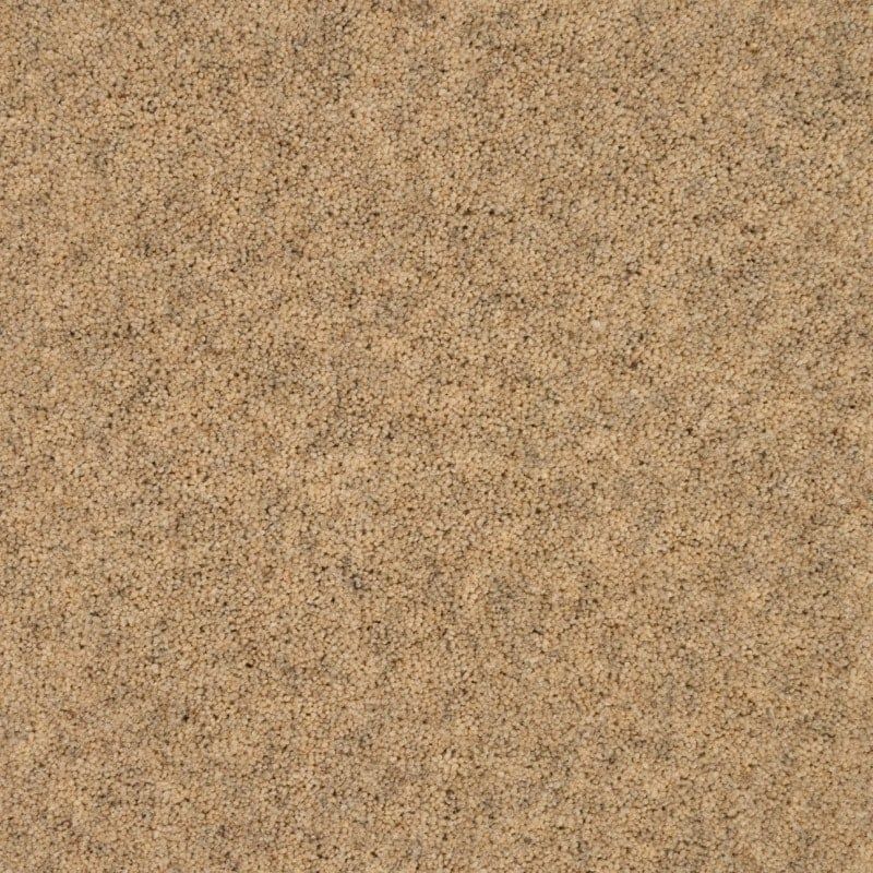 Penthouse Carpets Springtime Cheviot 40oz