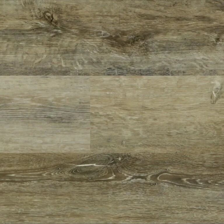 Harbor Oak
