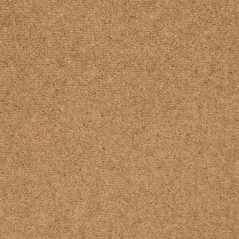 Penthouse Carpets  Shoreline Beach 50oz