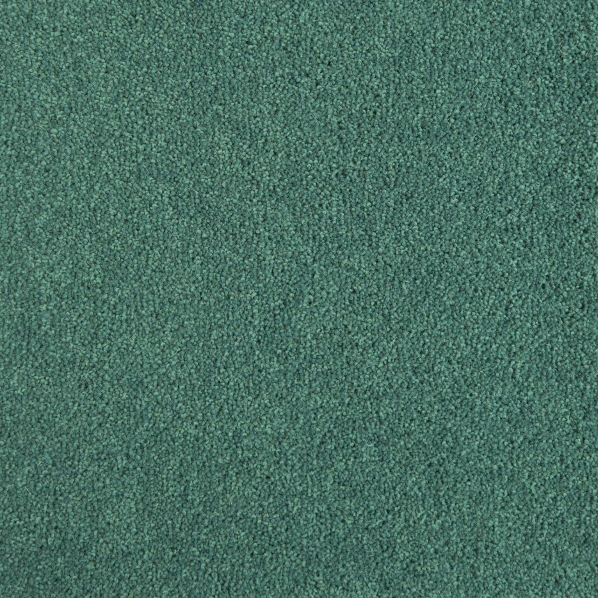 Penthouse Carpets Wentworth Eden 40oz
