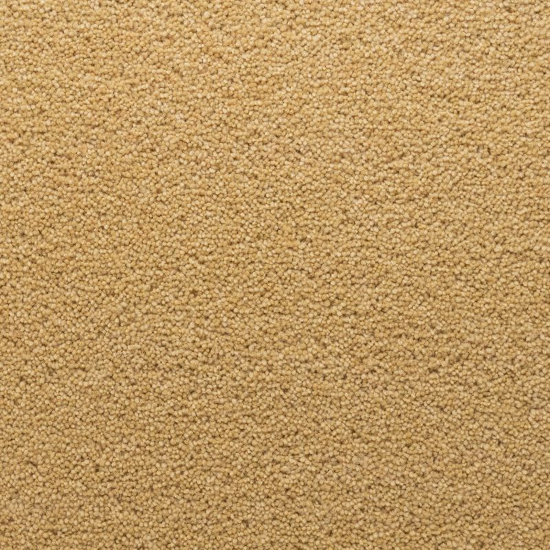 Penthouse Carpets Stateside Ellis 40oz