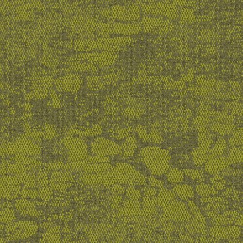 Interface Escarpment Desert Shrub 2525001
