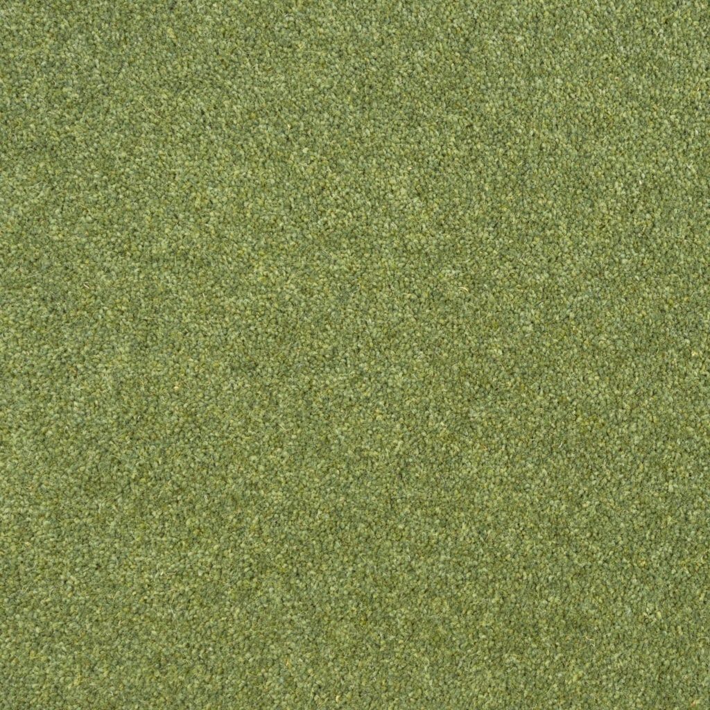 Penthouse Carpets Esprit Nouveau Cyrus 50oz