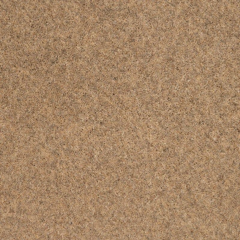 Penthouse Carpets Springtime Cheviot 50oz