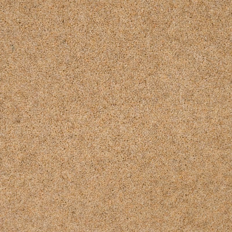 Penthouse Carpets Cumbrian Barrow 40oz