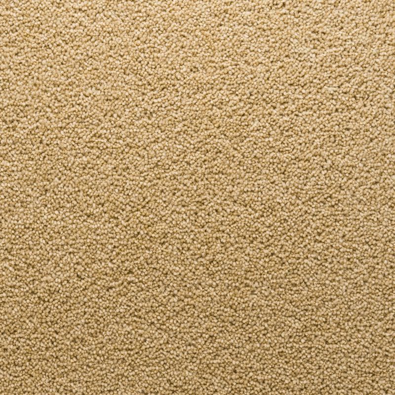 Penthouse Carpets Stateside Florida 50oz