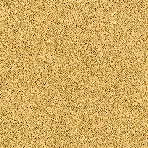Abingdon Carpets Stainfree Sophisticat Gold