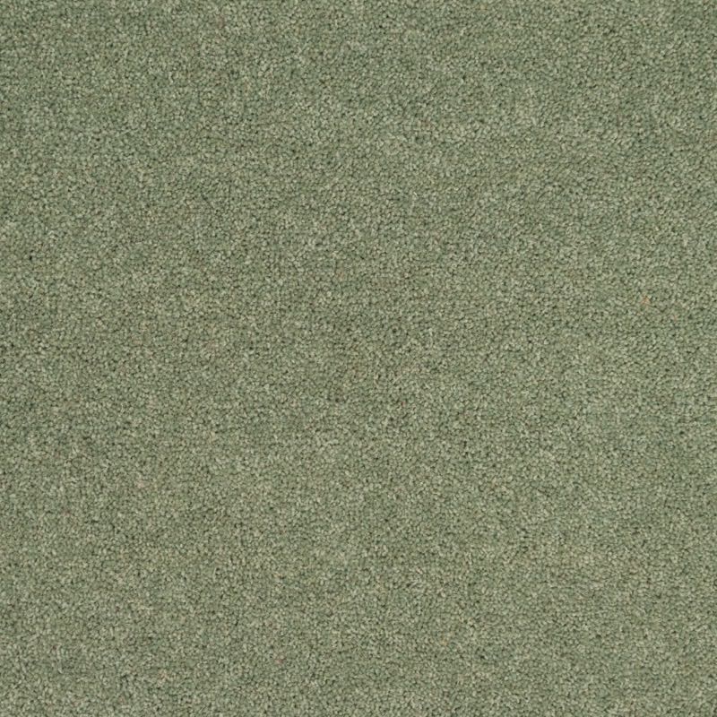 Penthouse Carpets Wentworth Grange 50oz