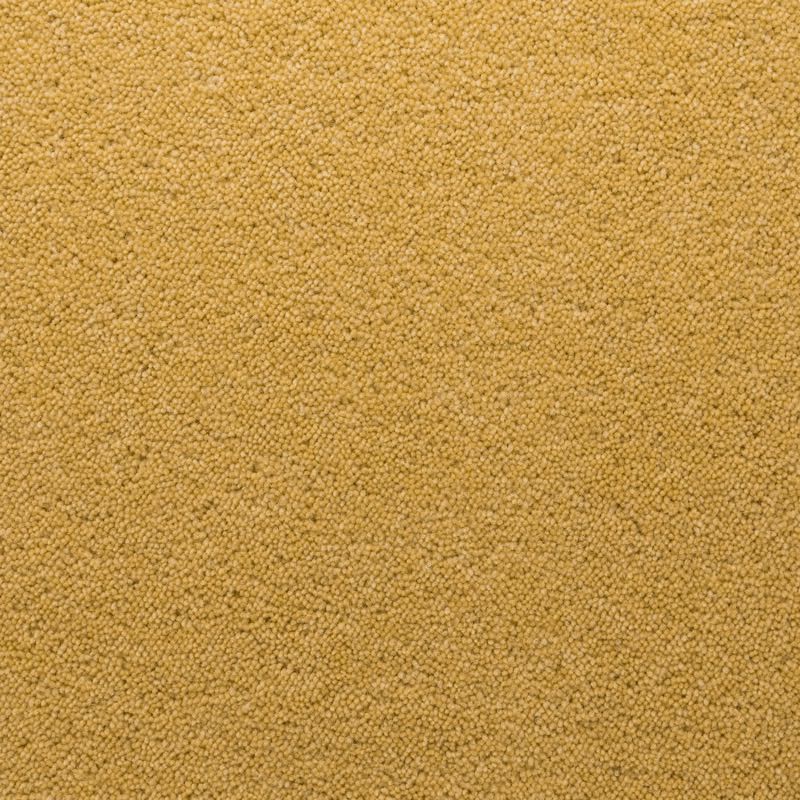 Penthouse Carpets Stateside Hamilton 50oz