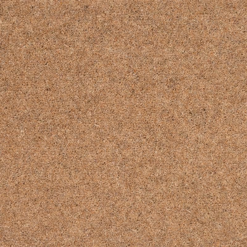 Penthouse Carpets Shoreline Atoll 50oz