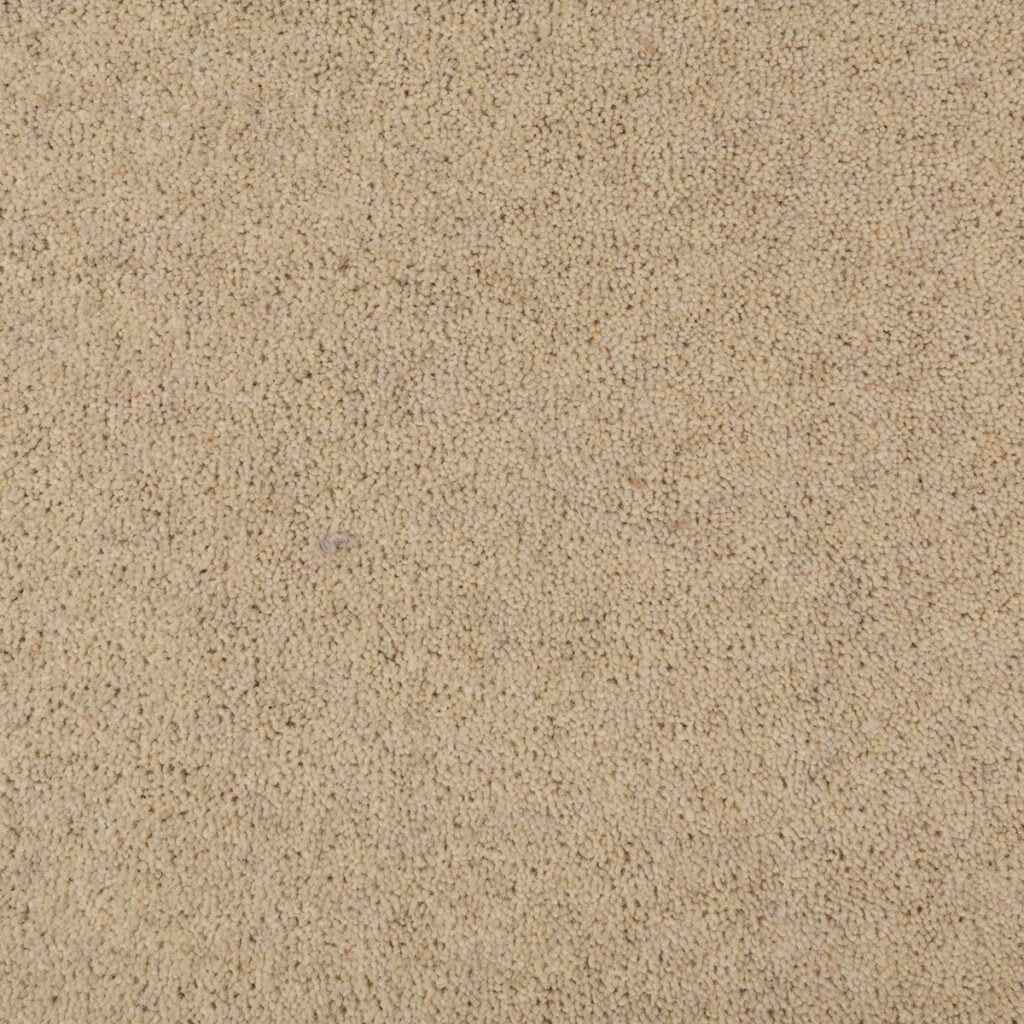 Penthouse Carpets Seasons Fall