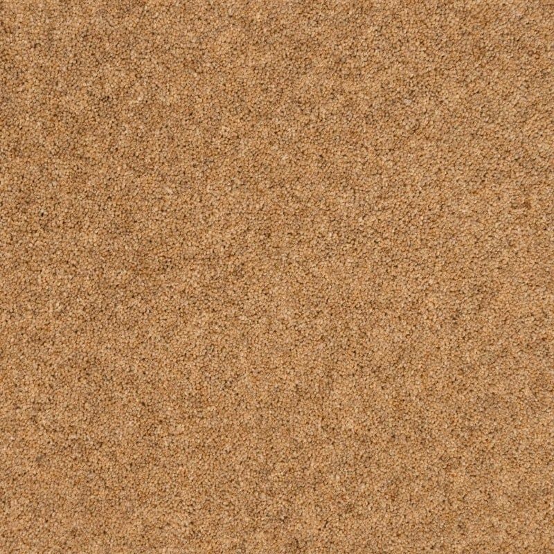 Penthouse Carpets Springtime Cheviot 50oz