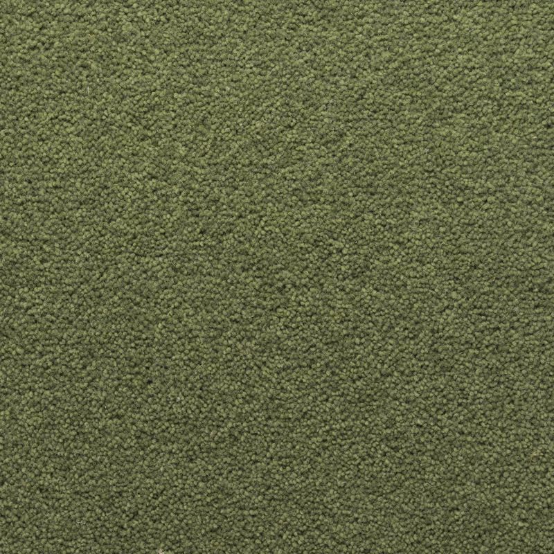 Penthouse Carpets Stateside Dakota 40oz