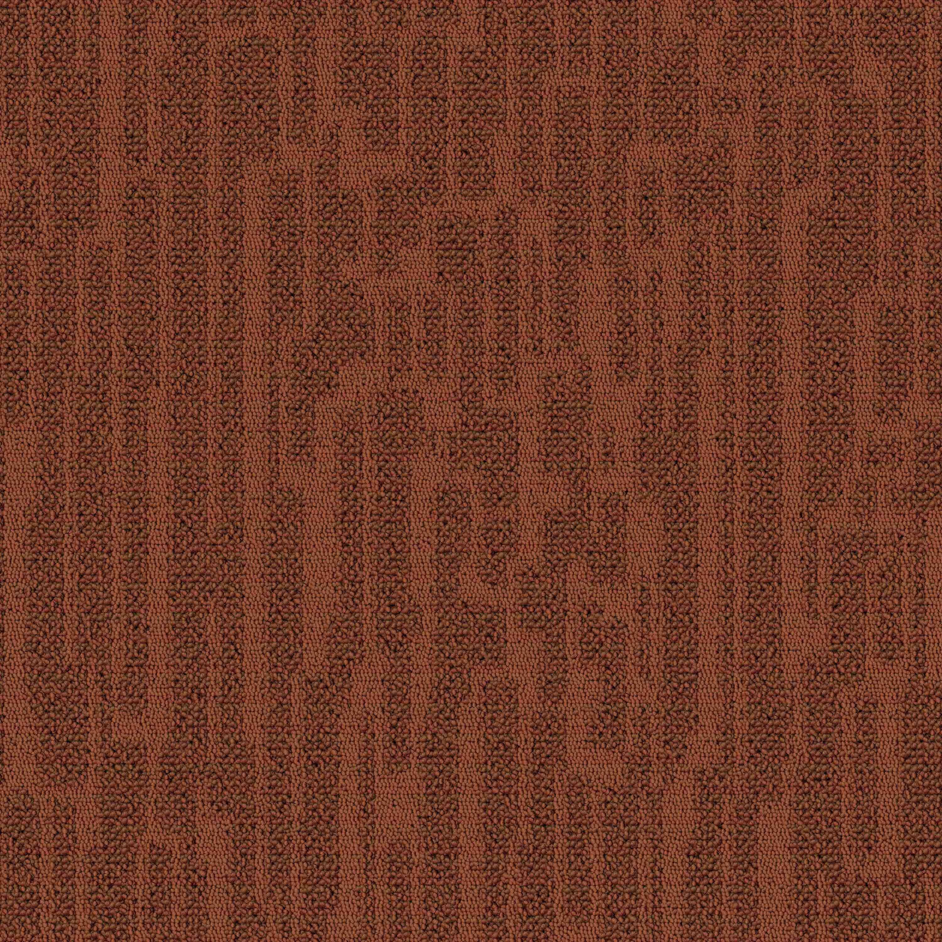 Paragon Inspiration Collection Greda Carpet Tile Moccasin