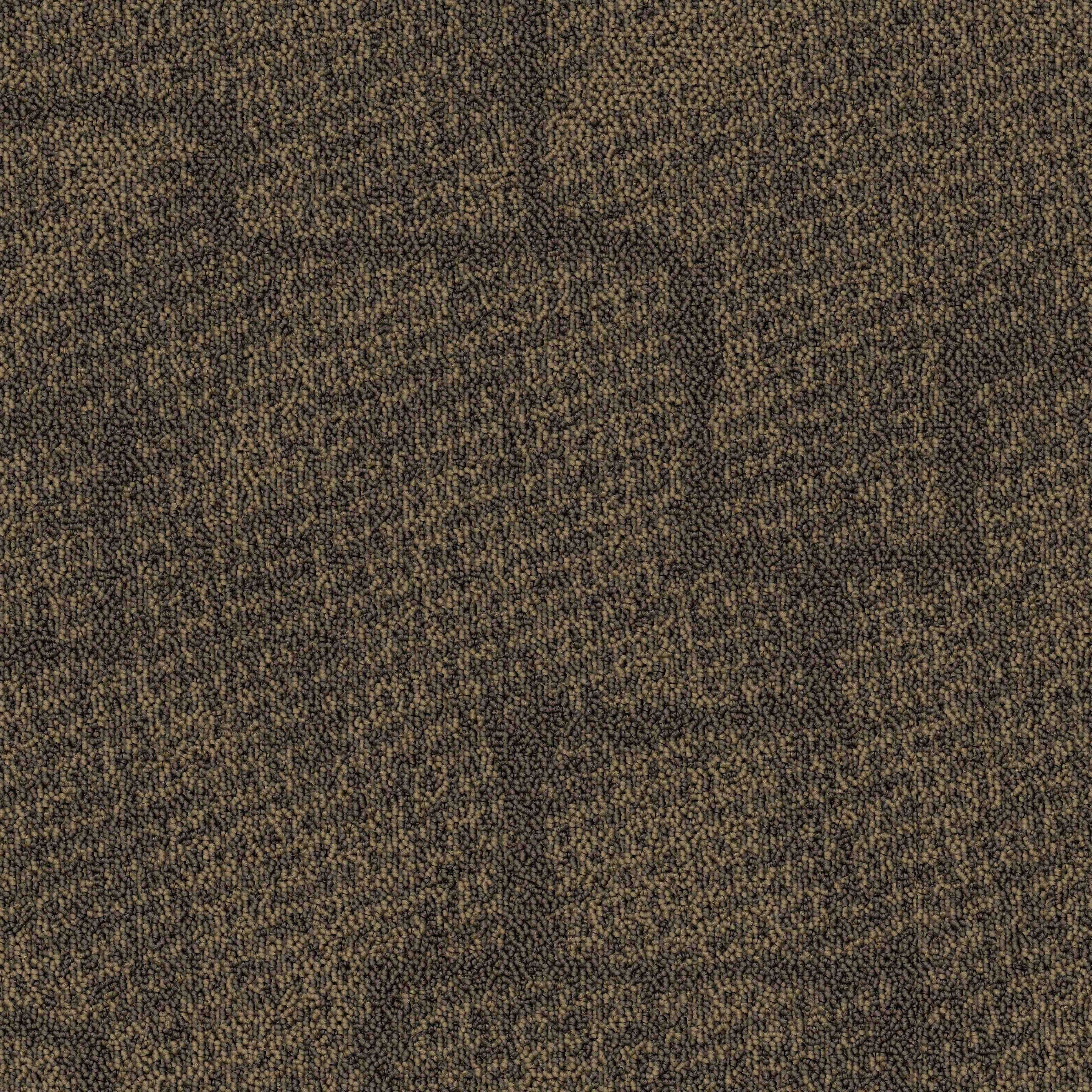 Paragon Inspiration Collection Mesh Carpet Tile Burly Wood