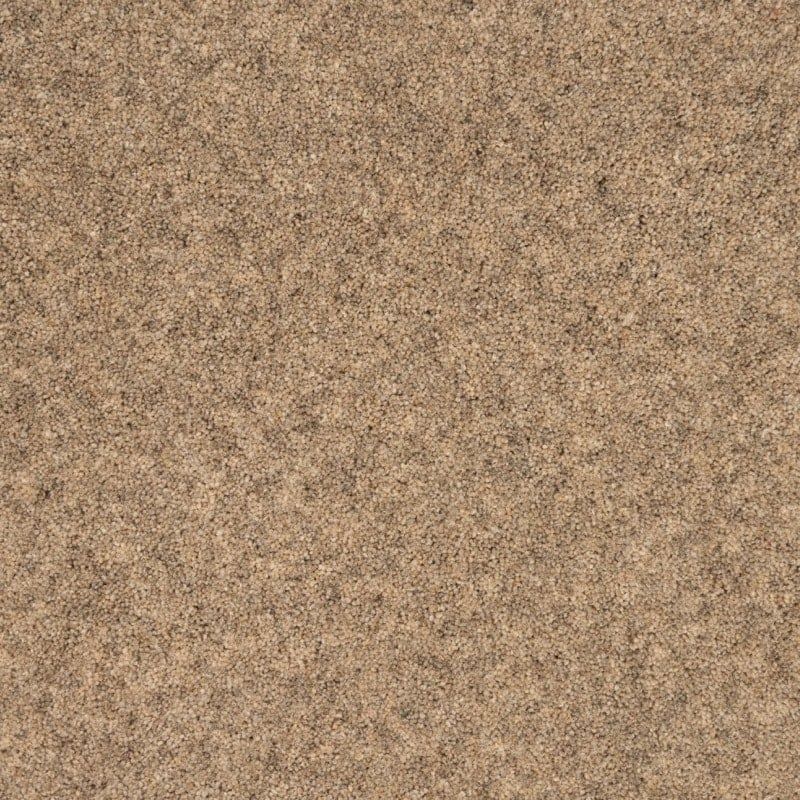 Penthouse Carpets Springtime Cheviot 40oz