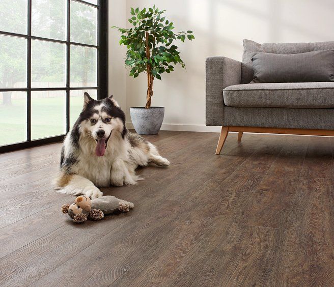 Coretec The Essentials 1500 Series Jasper Oak 01