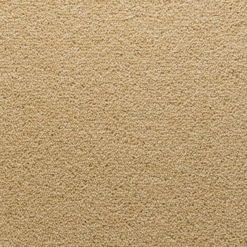 Penthouse Carpets Stateside Florida 50oz