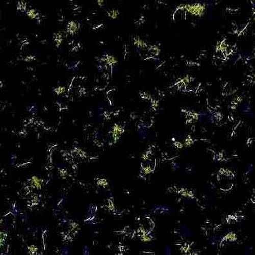 JHS Freelance Carpet 2104 Spruce