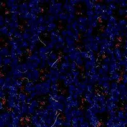JHS Freelance Carpet 2419 Astral Blue