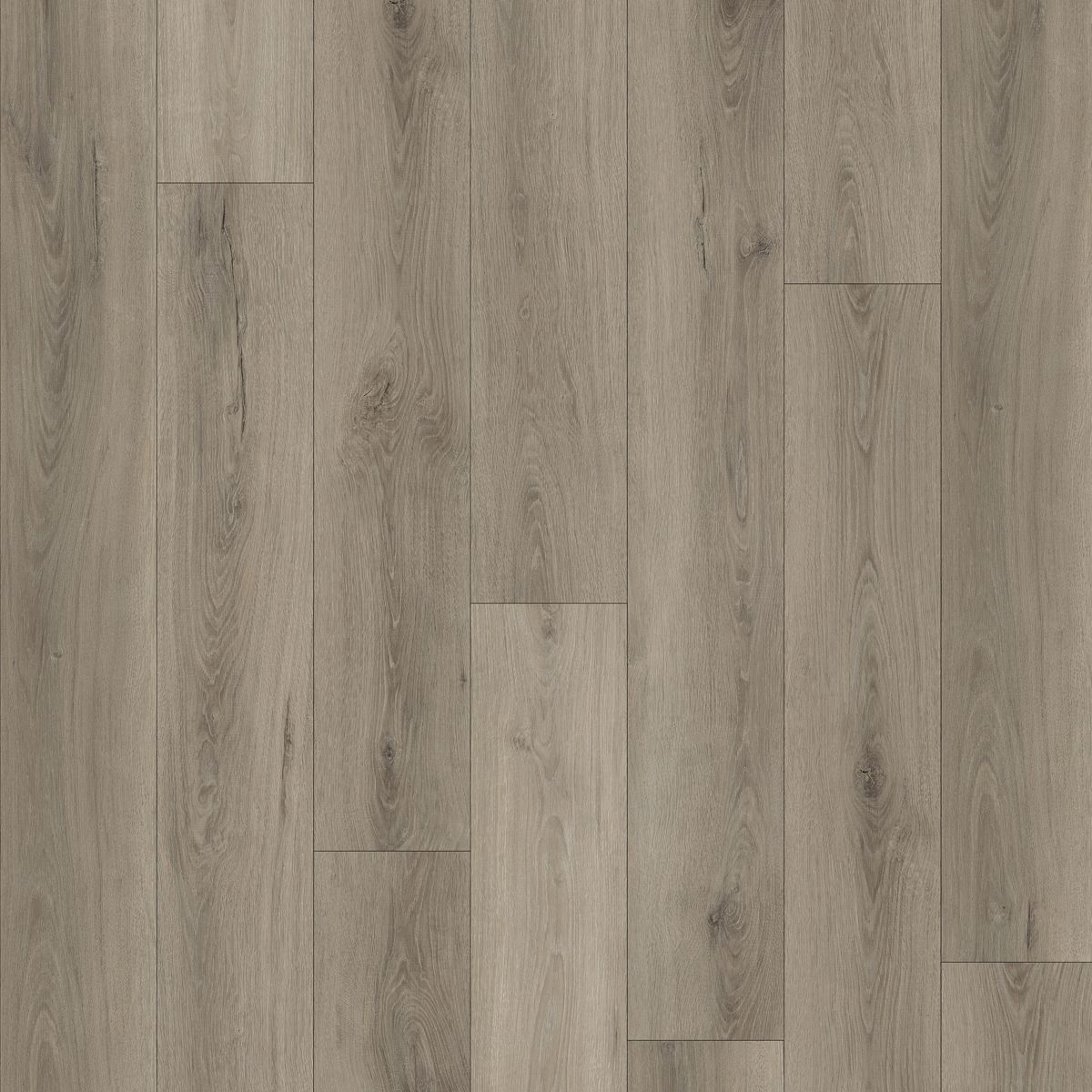 Flooring Hut Burleigh SPC Rigid Click - Select Oak