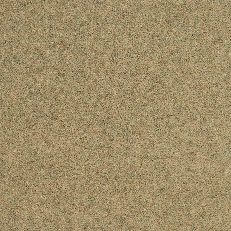 Penthouse Carpets Shoreline Kelp 50oz